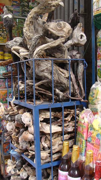 La Paz Steves (35).JPG